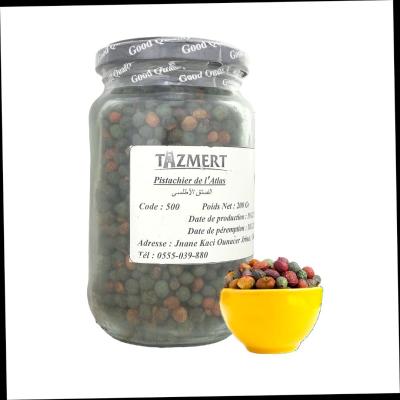  Pistachier d'atlas (battoum) Fait Maison 100% Naturelle 200 gr   