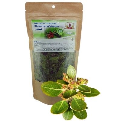 Tisane Nerprun Alaterne - Rhamnus Alaternus - Récolté au Sud de l'Algérie - Sèche Sac 50 Gr