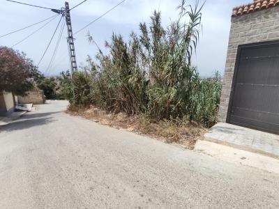 Vente Terrain Alger Mahelma