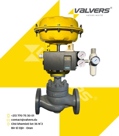 VANNE DE CONTROLE PNEUMATIQUE 