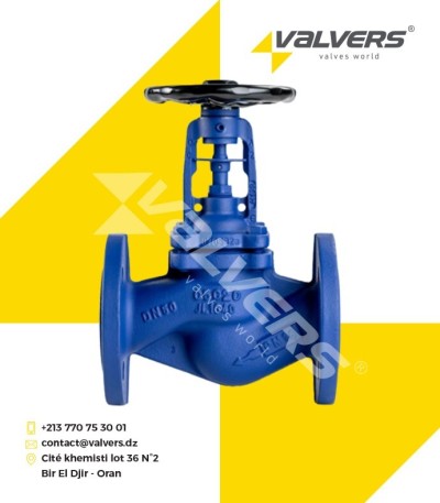 Vanne à soupape à souflet à bride