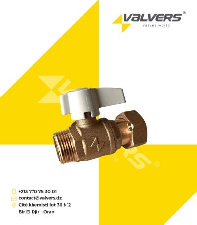 Vanne de branchement droit inviolable