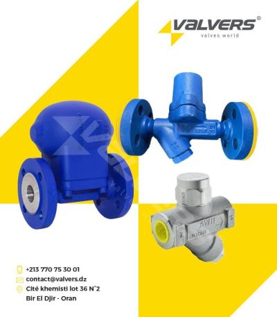 Purgeurs de condensat 