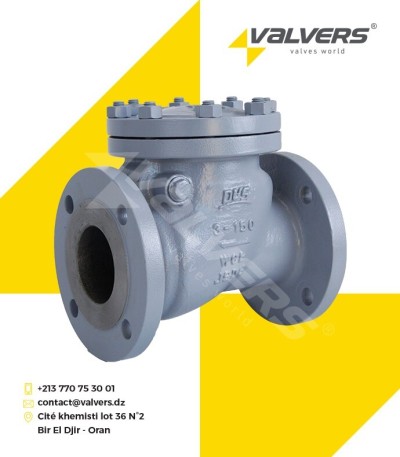 Clapet à battant WCB à bride