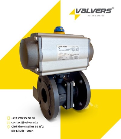 VANNE SPHÉRIQUE WCB PNEUMATIQUE 