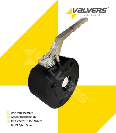 Vanne à boisseau sphérique Wafer en Acier A105