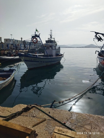 barques-bateaux-serdiner-1130-collo-skikda-algerie