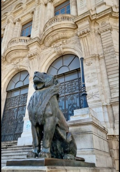 تجاري-و-تسويق-en-cherche-des-vendeur-et-vendeuse-وهران-الجزائر