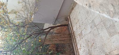 بيع فيلا الجزائر العاشور