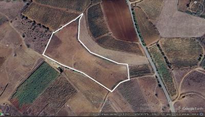 terrain-agricole-vente-boumerdes-djinet-algerie