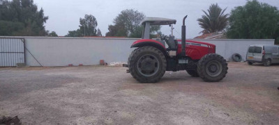 tracteurs-fergusoo-massi-2014-ain-el-arbaa-temouchent-algerie