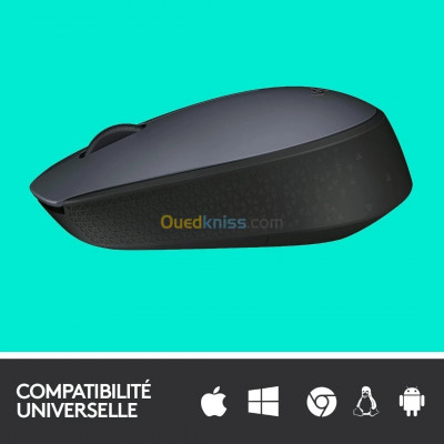 clavier-souris-logitech-m170-wireless-mouse-sans-fil-ambidextre-capteur-optique-3-bouton-kouba-alger-algerie