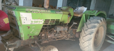 tracteurs-داتس-فار-taougrite-chlef-algerie