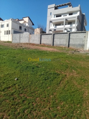 Sell Land Tipaza Kolea