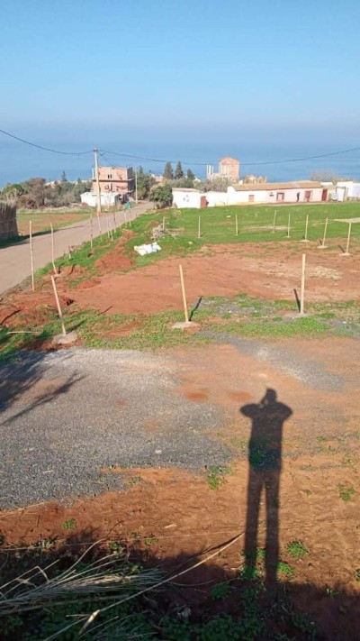 Vente Terrain Tipaza Ain tagourait