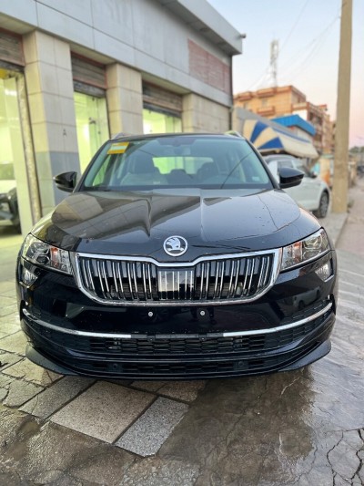 Skoda Karoq 2025 Luxure