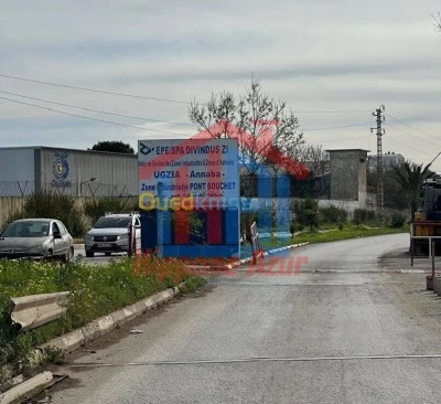 Rental search Hangar - Factory Annaba Annaba