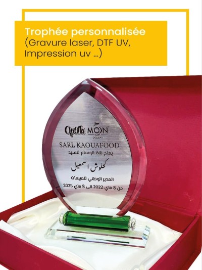 Trophée cristal assiette ( event, cadeaux, remerciement...) 