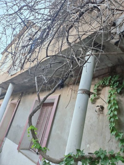 Sell Villa Alger Gue de constantine