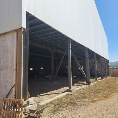 Vente Terrain Tipaza Kolea