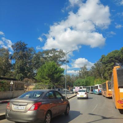 Vente Terrain Alger Ben aknoun