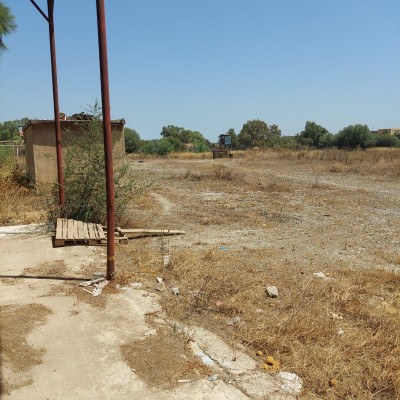 Vente Terrain Tipaza Kolea