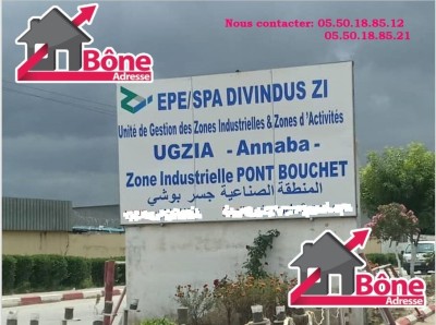 Rent Hangar Annaba El hadjar