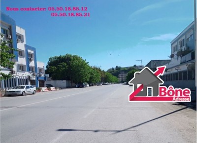 Location Local Annaba Annaba