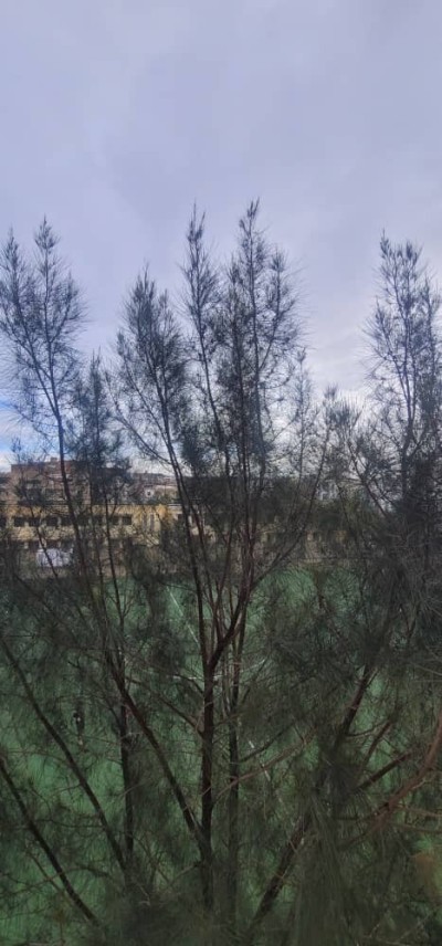 Sell Apartment F4 Alger Bordj el bahri