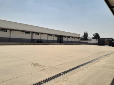 Cherche location Hangar Alger Rouiba