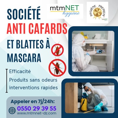 Extermination des cafards à mascara 