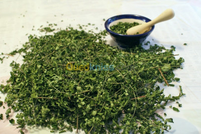 Moringa : feuille - poudre- graine - graine décortiquée أوراق و بذور المورينجا