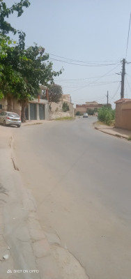 local-vente-tipaza-kolea-algerie