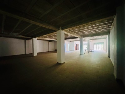 Location Local Alger Dely brahim