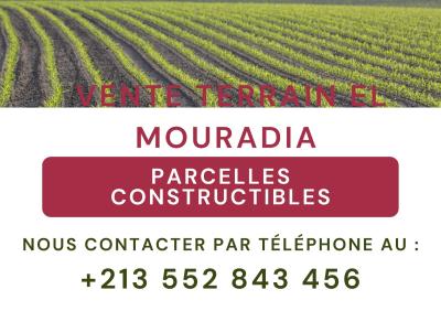 Sell Land Alger El mouradia