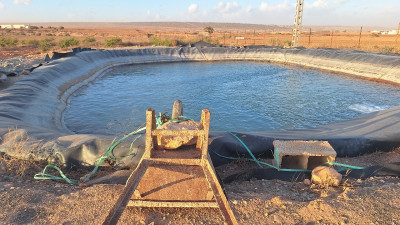 terrain-agricole-vente-mascara-alaimia-algerie