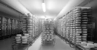 التطهير الثوري لمخازن النضج والجبن   désinfection d'haloir fromagerie et de camembert 