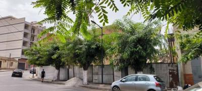 بيع شقة 3 غرف الجزائر سطاوالي