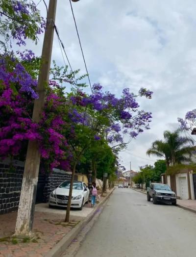 بيع شقة 3 غرف الجزائر باب الزوار