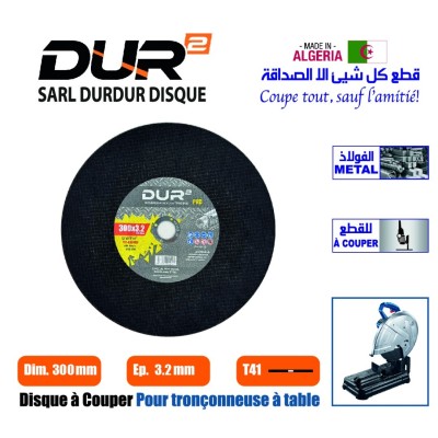 building-construction-disque-a-couper-bordj-el-kiffan-alger-algeria