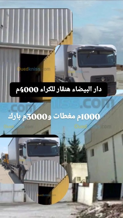 Location Hangar - Usine Alger Dar el beida