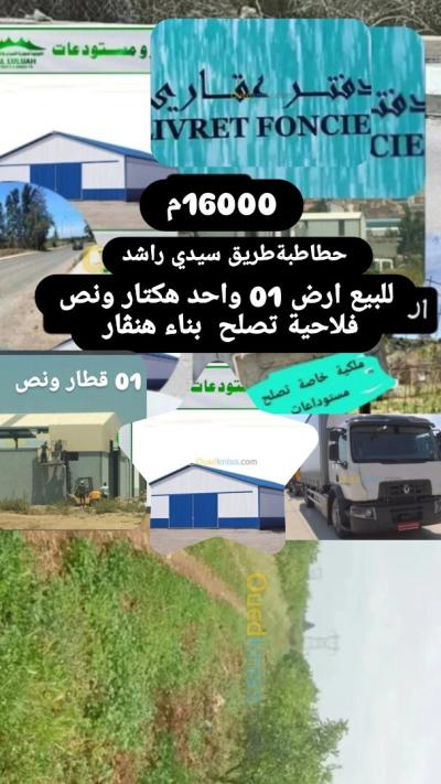 بيع أرض فلاحية تيبازة حطاطبة