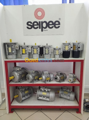 معدات-كهربائية-moteur-electrique-industriel-seipee-محرك-كهربائي-البليدة-الجزائر