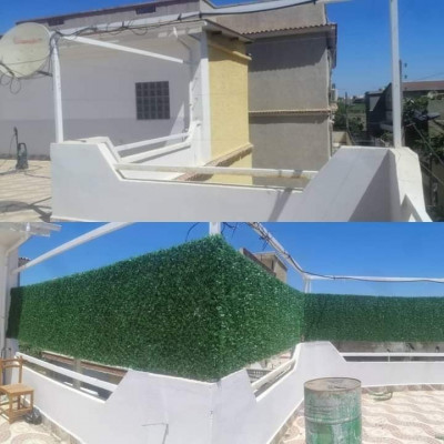 jardinage-fourniture-specialiste-de-pose-gazon-artificiel-birkhadem-alger-algerie
