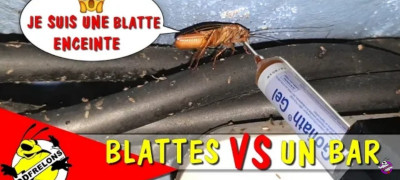 🔖Appareil Anti-Insectes Volants - Gardbrico Algerie