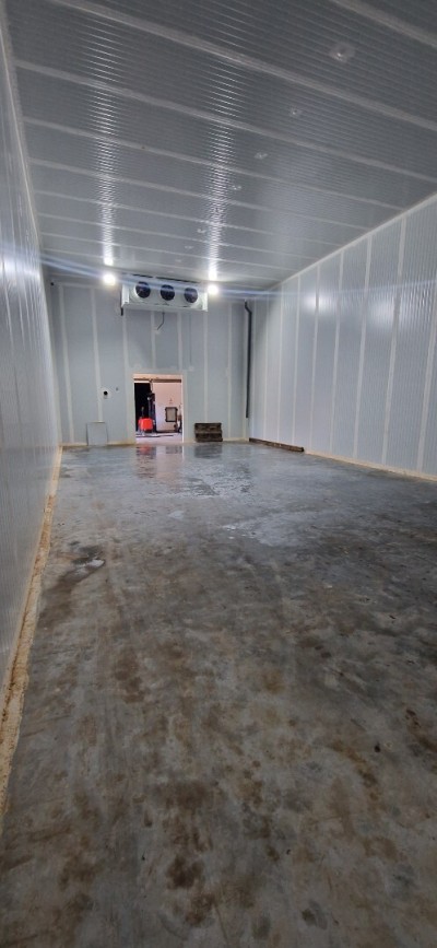 Location Hangar - Usine Tipaza Kolea