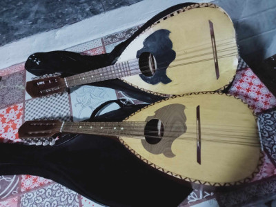 mandole-deux-mondolines-kolea-tipaza-algerie