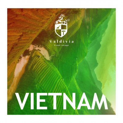 VIETNAM AOUT