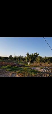 Sell Land Blida Boufarik