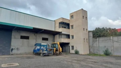 hangar-location-boumerdes-khemis-el-khechna-algerie